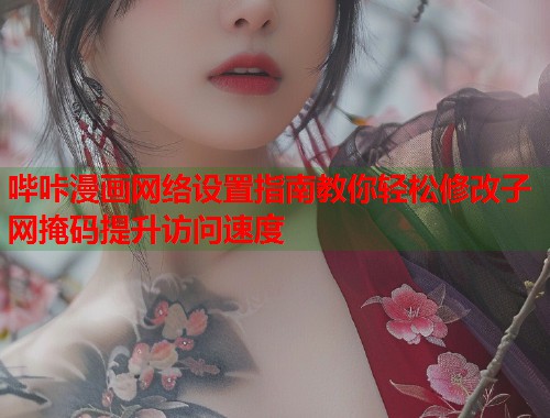 哔咔漫画网络设置指南教你轻松修改子网掩码提升访问速度