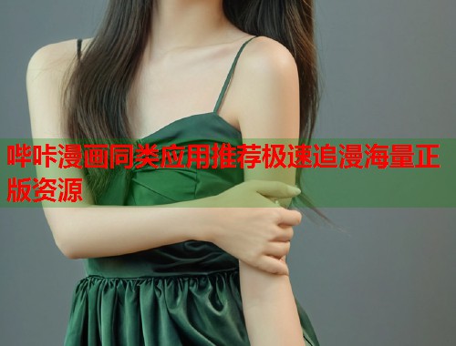 哔咔漫画同类应用推荐极速追漫海量正版资源