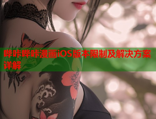 哔咔哔咔漫画iOS版本限制及解决方案详解