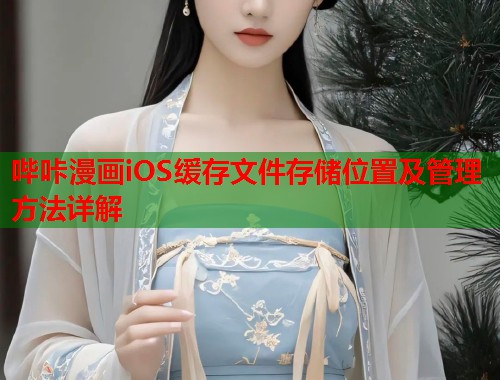 哔咔漫画iOS缓存文件存储位置及管理方法详解